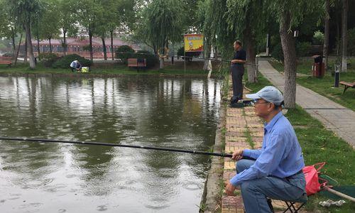 秋季下雨钓鱼技巧与方法（雨天钓鱼）  第1张