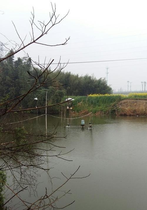 秋雨天钓鱼技巧（享受下雨天的丰收乐趣）  第2张