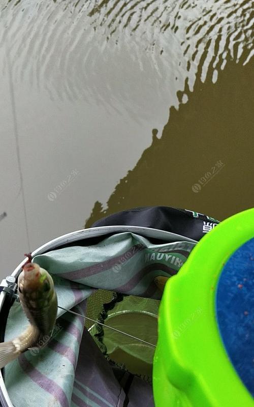 秋雨中的钓鱼技巧（享受秋日雨中的钓鱼乐趣）  第1张