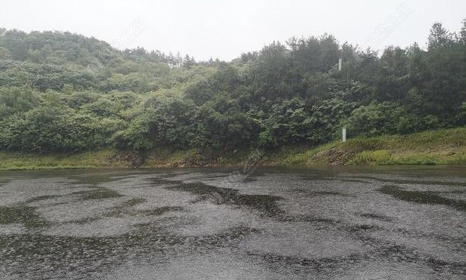 秋雨中的钓鱼技巧（享受秋日雨中的钓鱼乐趣）  第3张