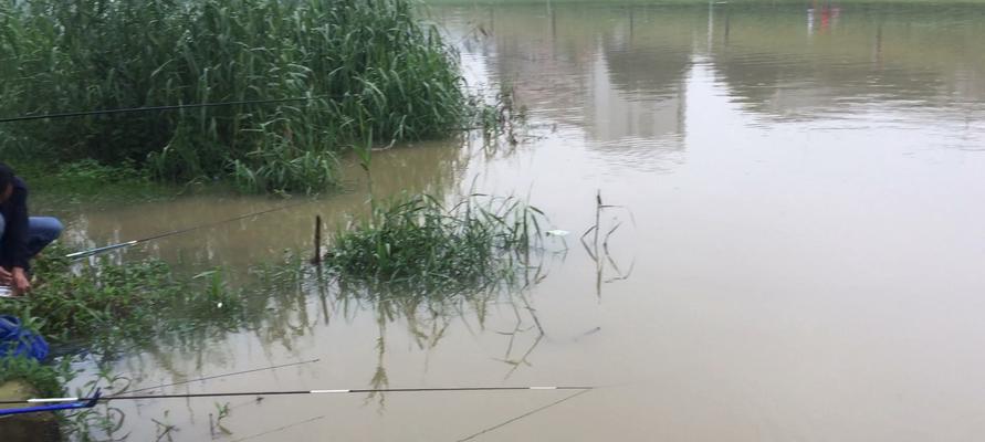 秋雨纷飞下的野钓技巧（湖畔乐趣无穷）  第1张