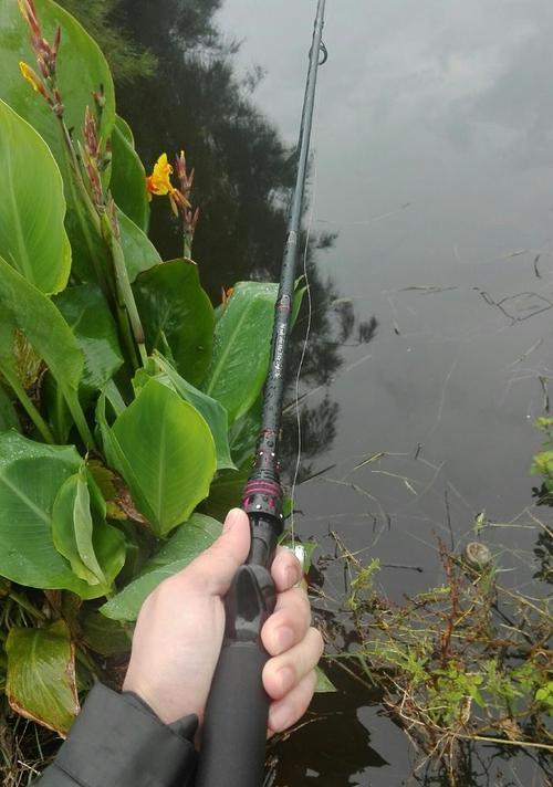 秋季下雨阴天钓鱼技巧（享受钓鱼乐趣）  第2张