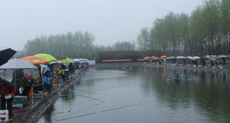 秋雨过后的钓鱼技巧（挑战秋雨善钓有道）  第2张