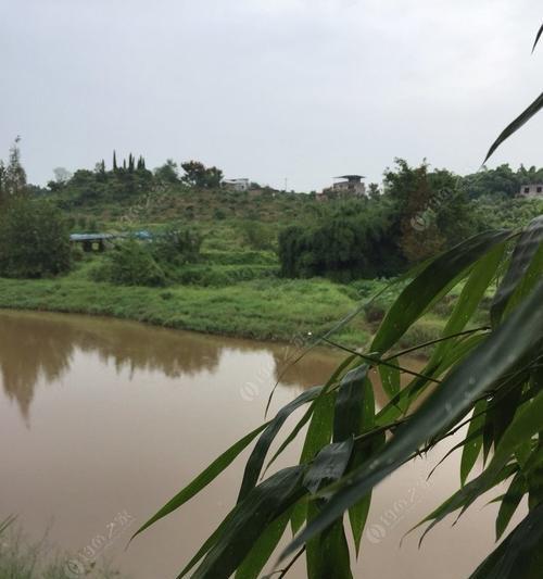 秋雨钓鱼技巧（应对秋季雨天钓鱼）  第2张