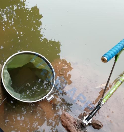 秋季小河涨水钓鱼技巧（挑战小河涨水）  第3张