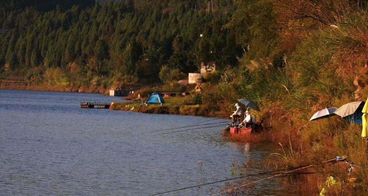 秋季小雨天野钓技巧（揭秘钓鱼达人的秘诀）  第1张