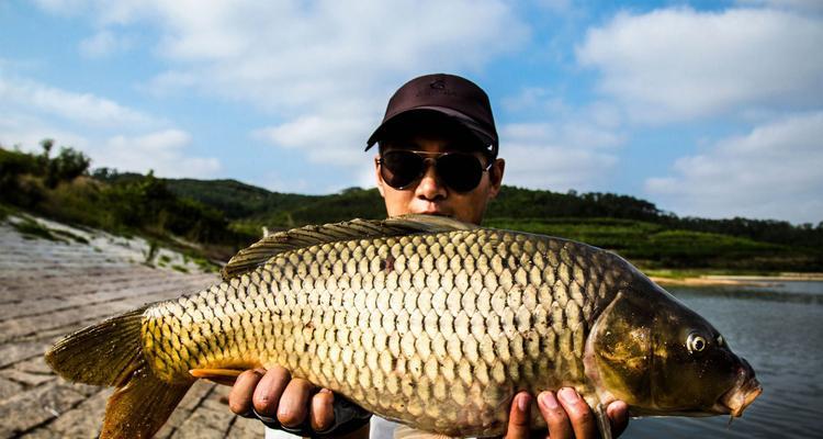 秋季野钓大鲤鱼的技巧（掌握正确钓位）  第3张