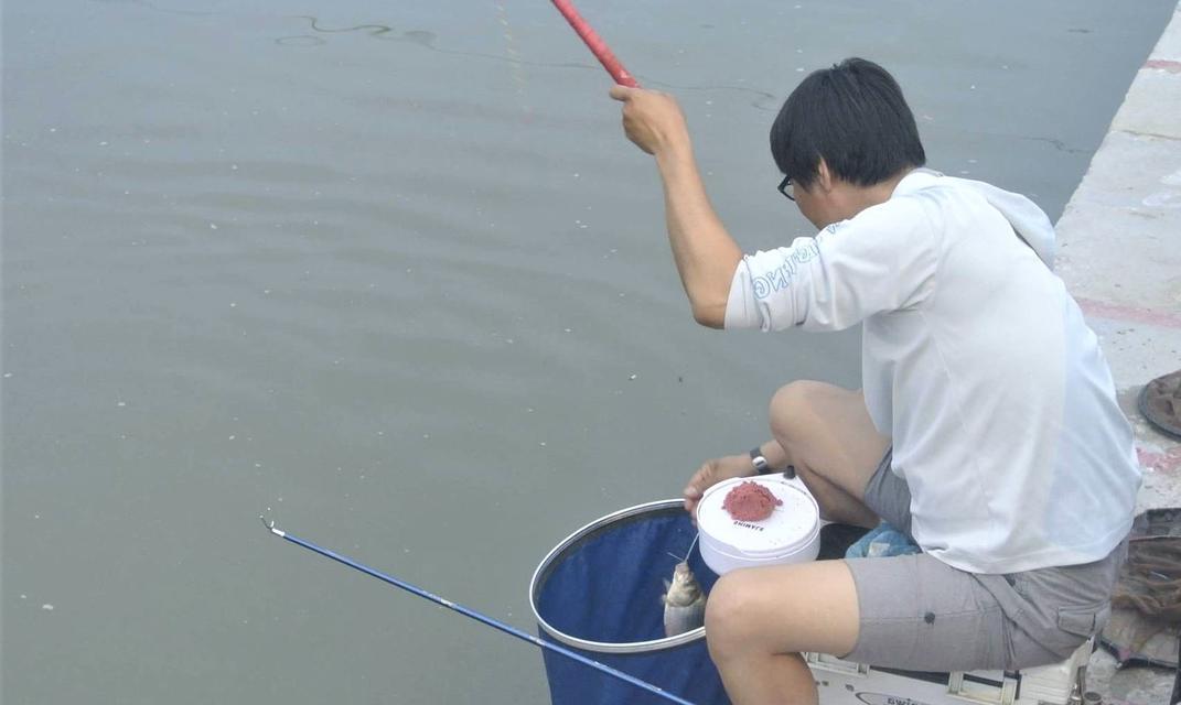 秋日小河钓鱼技巧（轻松掌握的入门指南）  第1张