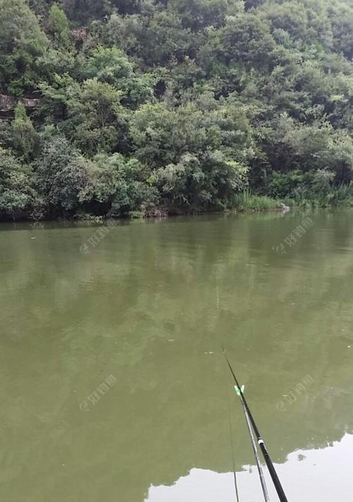 夏季沙河水钓技巧（解密夏日沙河水钓的绝招）  第1张