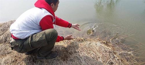 沙坑野钓鲫鱼技巧（掌握正确的饵料和钓法提高野钓鲫鱼的成功率）  第1张