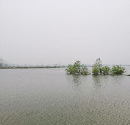 冬天钓鱼的技巧——山顶水库的钓鱼之道（山顶水库冬季钓鱼技巧）  第1张