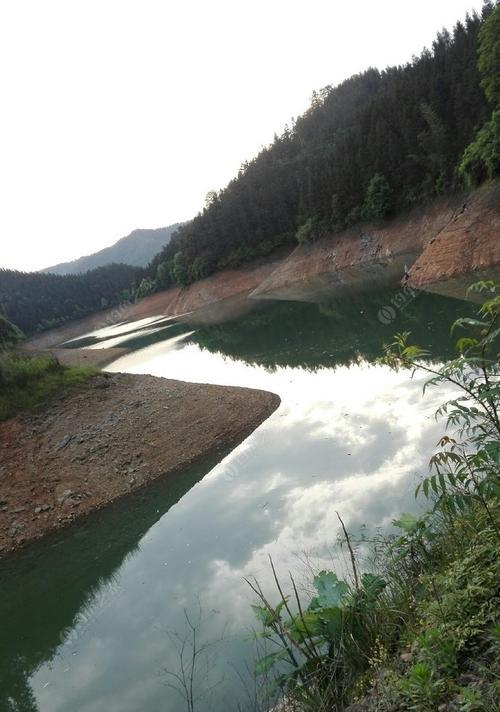 山间水塘钓鱼技巧教学（享受自然乐趣）  第1张