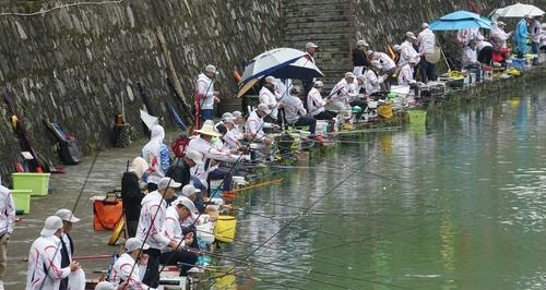 山清水秀钓鱼技巧教程（轻松掌握钓鱼技巧）  第1张