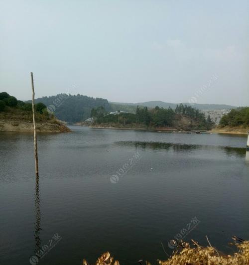 夏天山塘水库钓鱼技巧（掌握这些技巧）  第1张