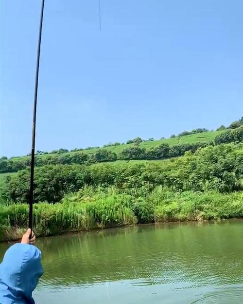 山塘野钓技巧（钓鱼达人分享的山塘野钓技巧）  第1张