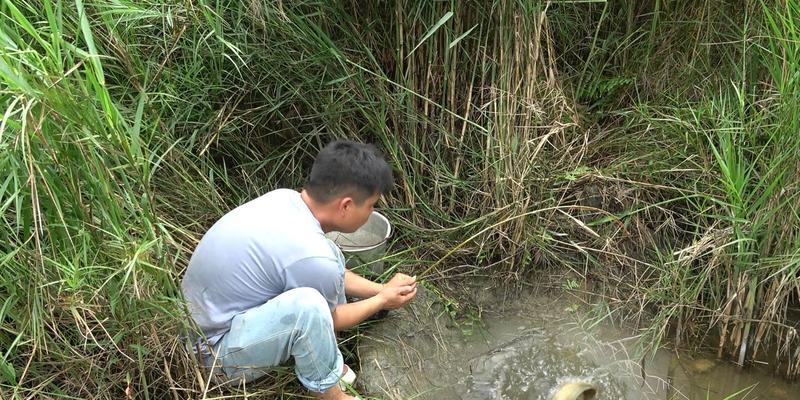 海边石缝钓鱼技巧（掌握关键）  第1张