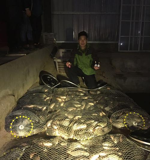 室内钓鱼场钓鱼技巧大揭秘（钓鱼新手如何在室内钓鱼场获得成功）  第1张