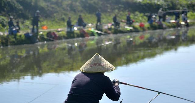 黑坑钓鱼技巧（如何在收费鱼塘中获得丰富的收获）  第1张