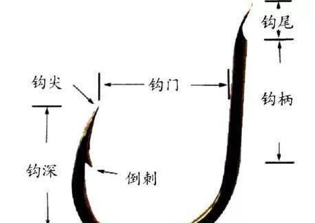 手杆钓鱼教学技巧（掌握这些技巧）  第1张