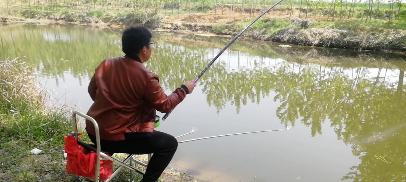 手竿垂钓鲢鳙鱼的技巧分析（掌握垂钓技巧）  第1张