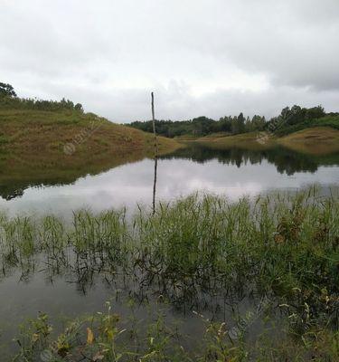 水库野钓技巧与（探索水库钓鱼的乐趣）  第1张