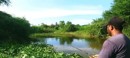 水库野河钓鱼技巧大揭秘（钓鱼高手分享的绝密技巧）  第1张