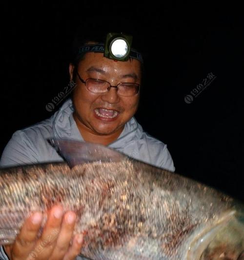 水库夜钓打窝技巧教学（掌握夜钓打窝技巧）  第1张