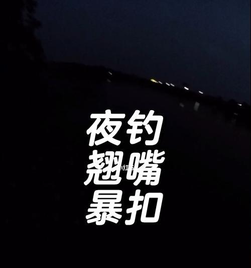 大水库夜钓翘嘴技巧（揭秘夜晚钓翘嘴的绝技）  第1张