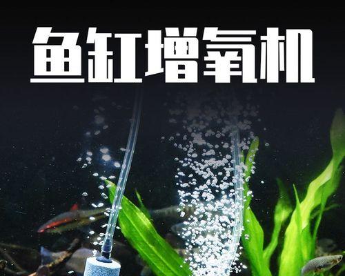 水库钓鱼小水泵技巧（提升钓鱼效果的关键——小水泵的使用技巧）  第1张