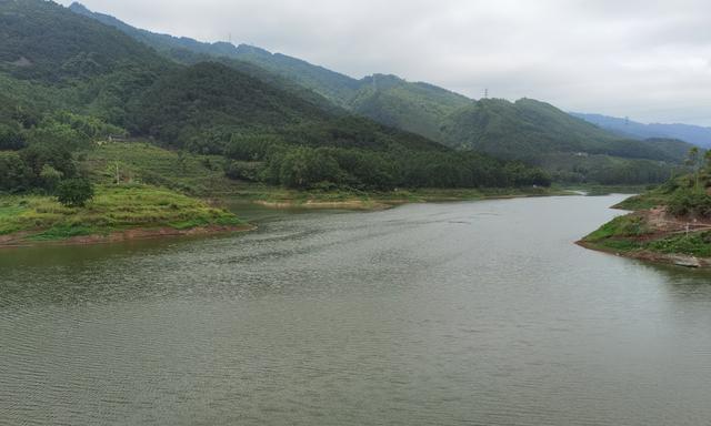 废弃水库鱼塘钓鱼技巧（发掘废弃水库鱼塘的钓鱼之道）  第1张