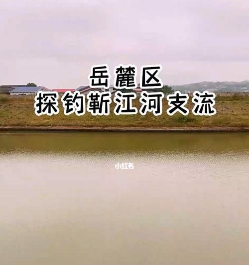 水库支流钓鱼技巧（提高钓鱼成功率的实用技巧）  第1张