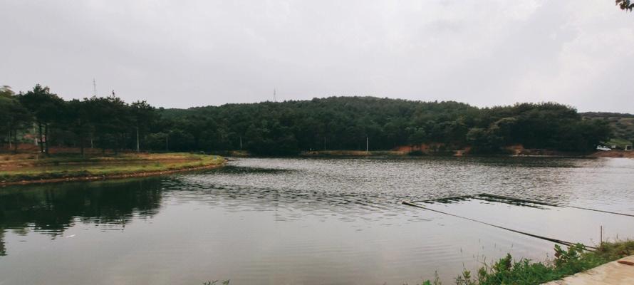 水泥底水库钓鱼技巧（掌握技巧）  第1张