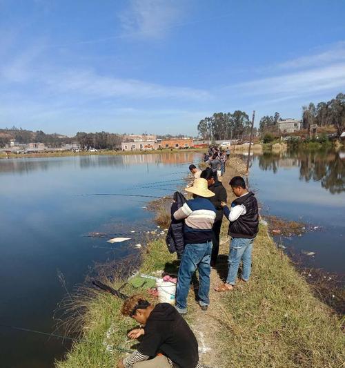 以水太肥钓鱼技巧（深入探讨在水体富养鱼时的钓鱼技巧）  第1张