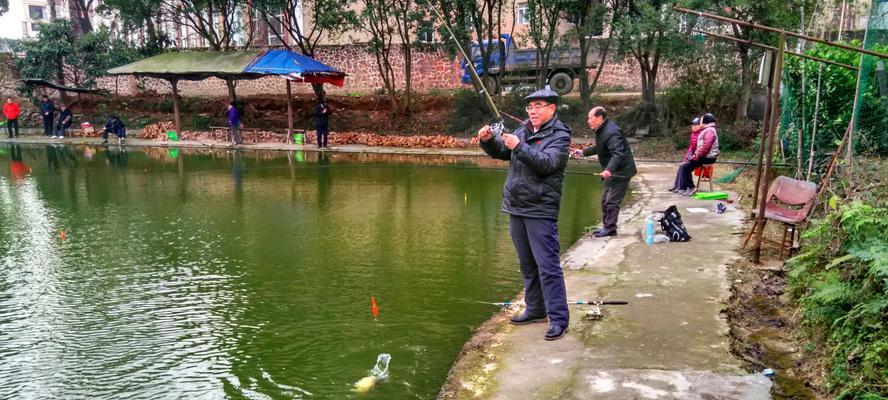 浅水钓鱼的技巧与窍门（掌握浅水钓鱼技巧）  第1张