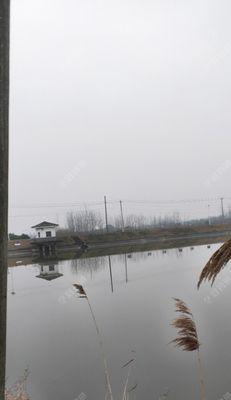 水塘野钓钓位选择与技巧（掌握钓位选择的关键）  第1张