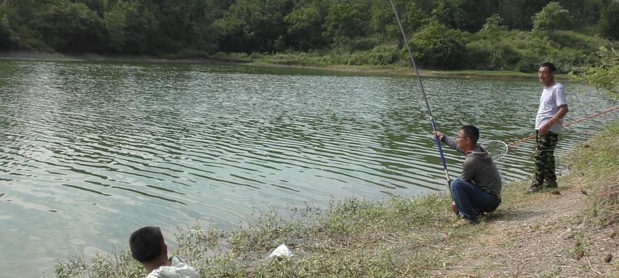 水下钓鱼的抛投技巧（掌握水下钓鱼）  第1张