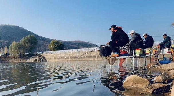 水质偏肥钓鱼技巧教程（掌握钓鱼技巧）  第1张