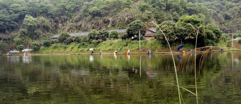 死水塘钓鱼技巧揭秘（掌握这些技巧）  第1张