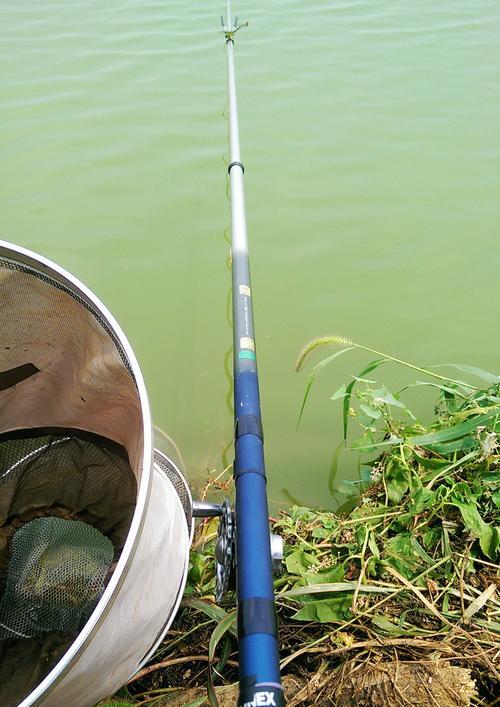 武汉夏天混养塘钓鱼的饵料技巧（聚焦武汉夏天混养塘钓鱼）  第1张