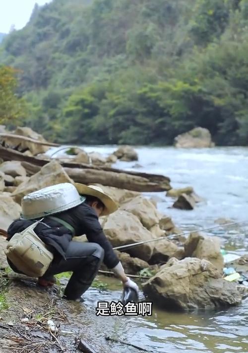 野钓溪流钓鱼技巧实战指南（掌握技巧）  第1张