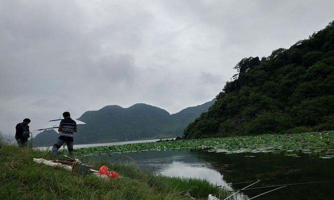 溪流钓鱼技巧（钓鱼达人分享的溪流钓鱼心得）  第1张