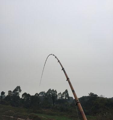 溪流野钓大鲤鱼技巧（畅游自然）  第1张