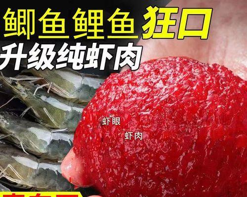 虾肉挂钩钓鱼技巧（掌握虾肉挂钩钓鱼技巧）  第1张