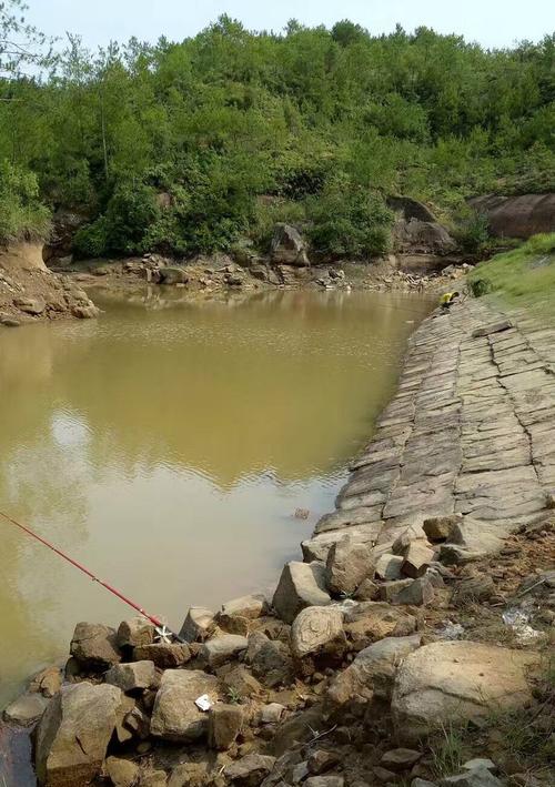 峡谷水库钓鱼秘籍（技巧）  第1张