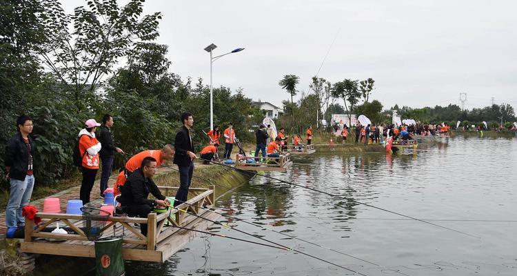 午后钓鱼技巧与方法（掌握技巧享受放松）  第1张