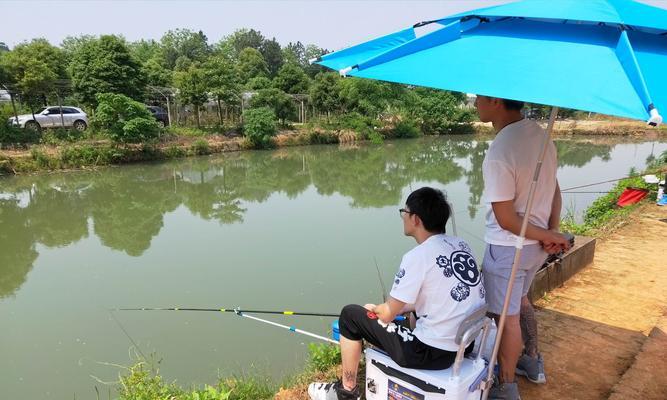 午天热池塘钓鱼的技巧（钓鱼者必知的热池塘渔获宝典）  第1张