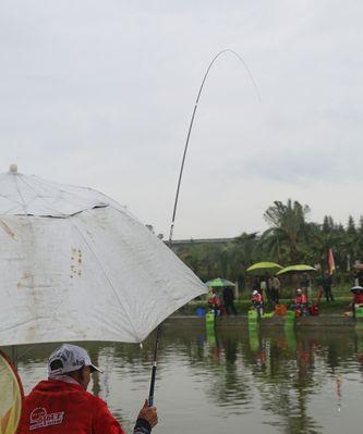 小雨垂钓技巧——探寻淡水鱼群的秘密（钓点选择）  第1张