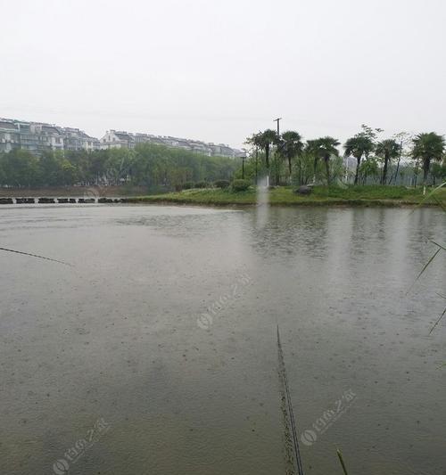 五月下雨钓鱼技巧（雨天钓鱼的利与弊）  第1张