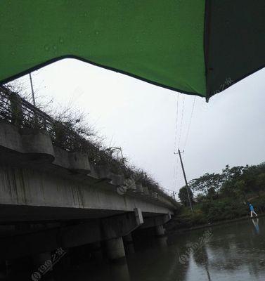 雨中钓鱼的乐趣（享受湖畔宁静）  第1张