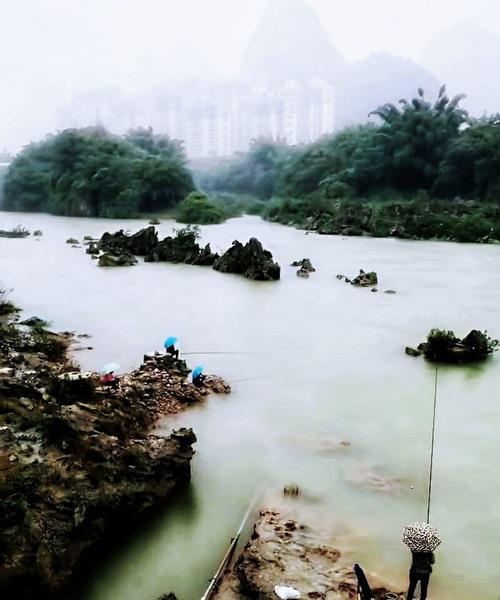 雨后钓鱼的技巧与方法（提高钓鱼成功率的关键是掌握这些技巧）  第1张